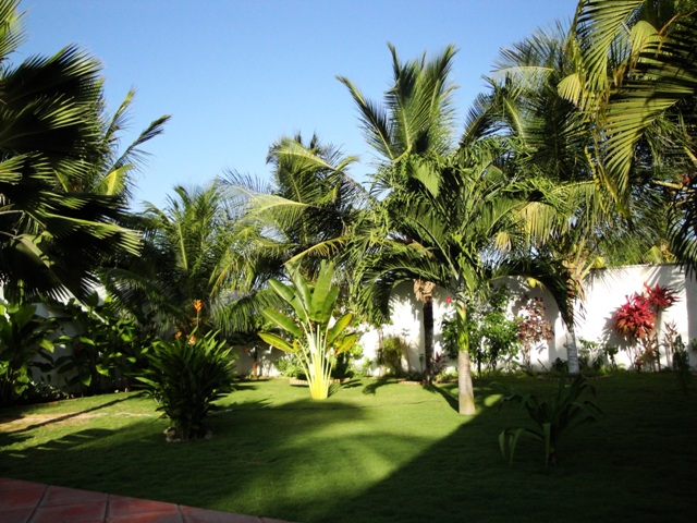 Vista jardim